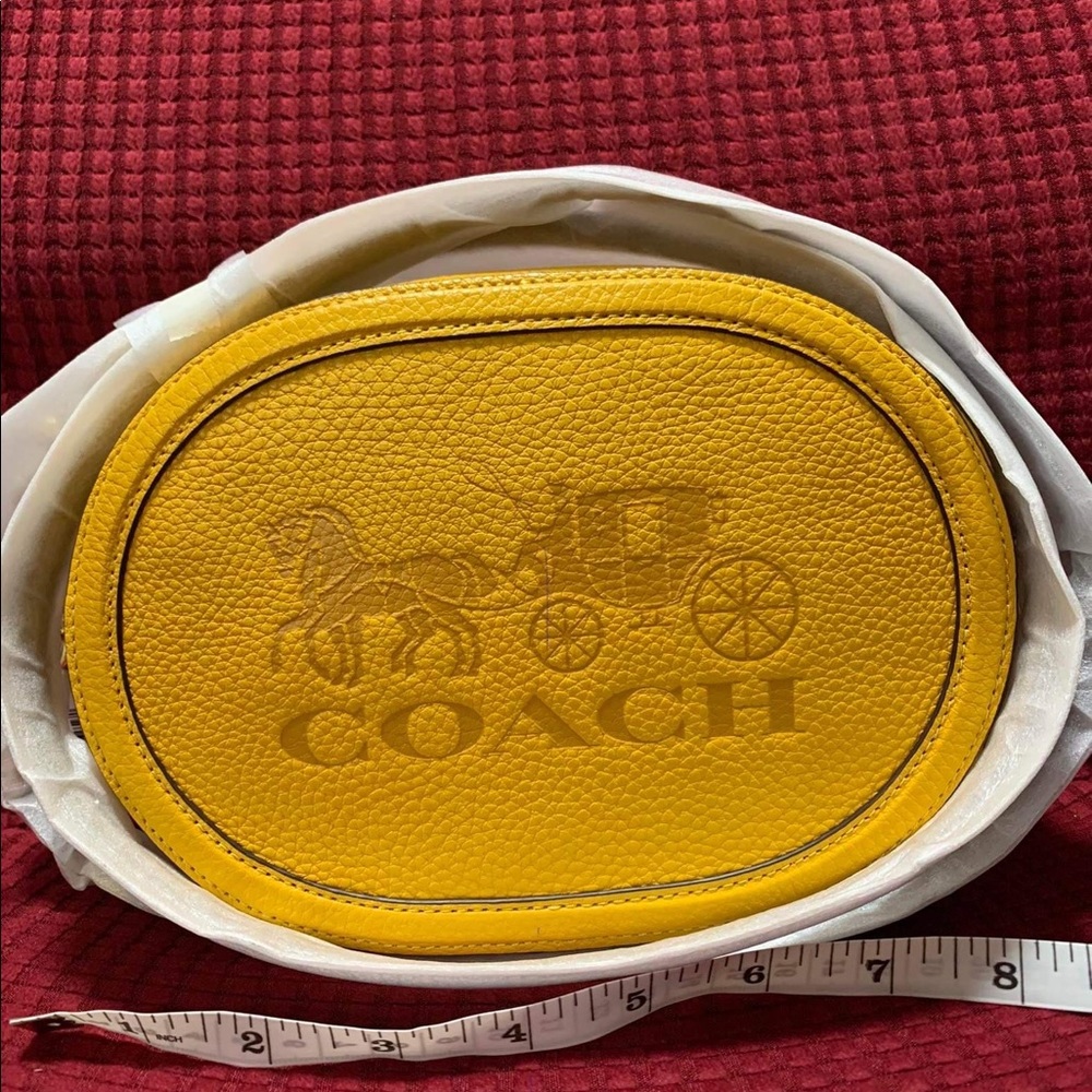 Camera bag with horse and carriage